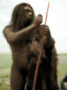 Neanderthal_2D[1]